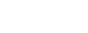 Falcon Reality
